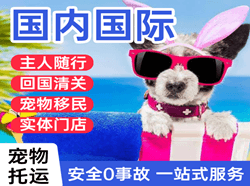 阿勒泰空运国际宠物托运 【国